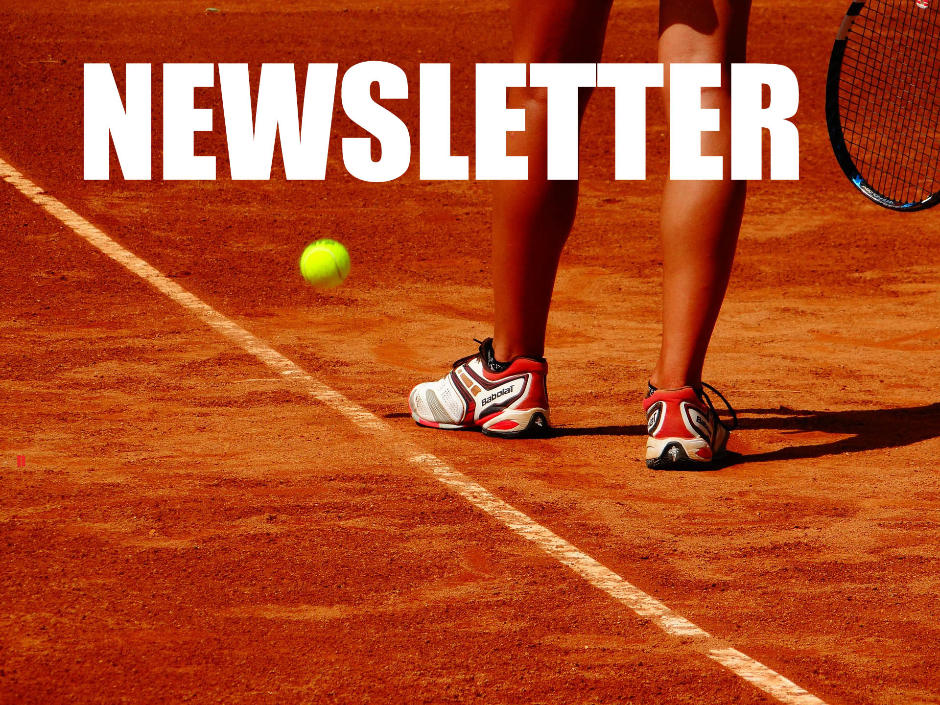 NEWSLETTER JUNIOR